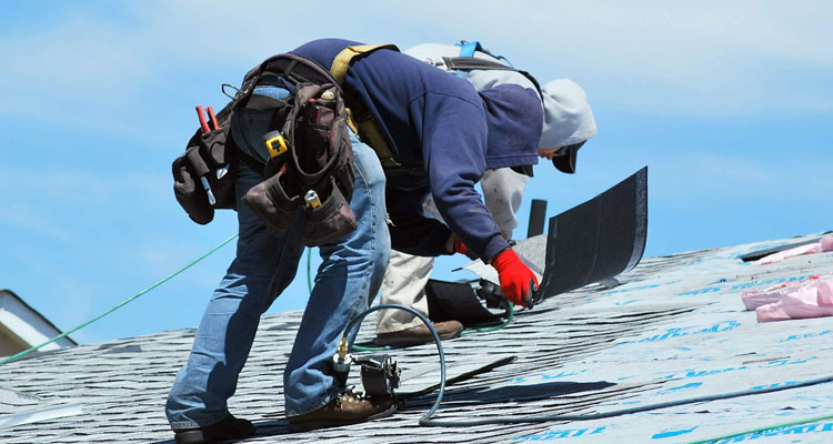 Hail Damage Roof